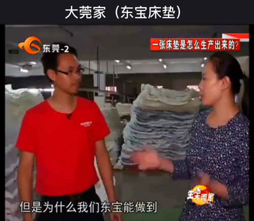 东宝床垫采访视频