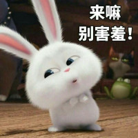 timg