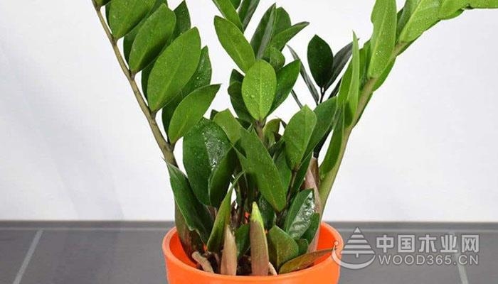 简单有效的5种招财方法